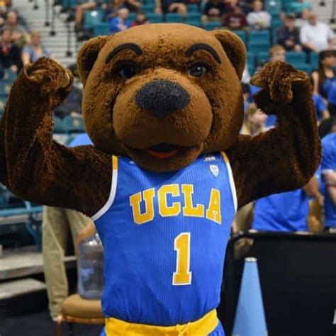 Joe Bruin | Mascot Hall of Fame