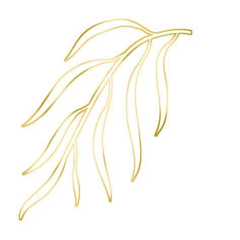 Gold Leaf Illustration 16774987 PNG