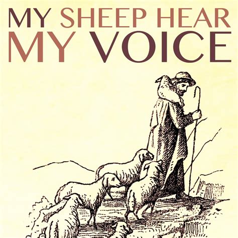 My Sheep Hear My Voice Audio (podcast) - Keith Moore | Listen Notes