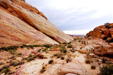 Valley of Fire, Nevada - Chic Stylista