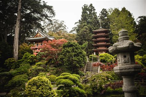 Tips For Visiting The San Francisco Japanese Tea Garden