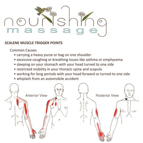 Scalene Trigger Point Release and Stretch - Nourishing Massage