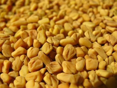 10 Health benefits of Fenugreek (Methi)