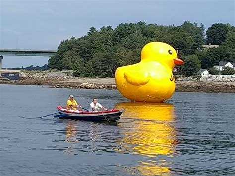 Giant rubber ducky takes flight; where will it land next? | Coast 93.1