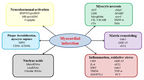 Diagnostics | Free Full-Text | Past, Present, and Future of Blood ...