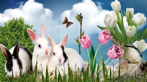 HD Wallpaper: Spring Bunnies, Grass, Tulips, Easter