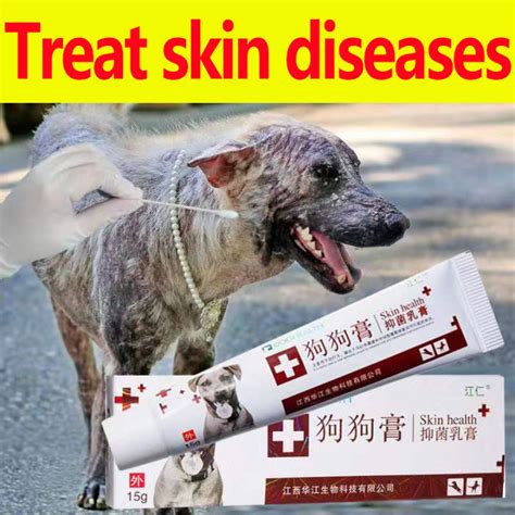 Hot 】[Doctor Recommended] Skin Ointment Skin Treatment,General For Dogs And Cats,Proven Best Use ...