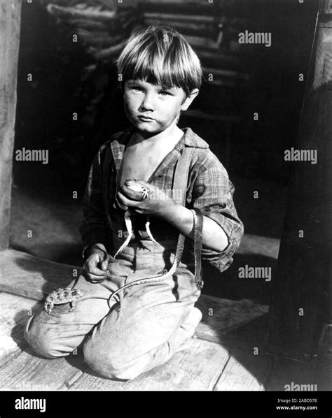 OLD YELLER, Kevin Corcoran, 1957 Stock Photo - Alamy