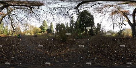 360° view of Botanical Garden Berlin in November - Alamy