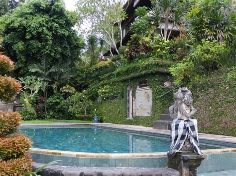 Alam Indah Ubud Pool: Pictures & Reviews - Tripadvisor