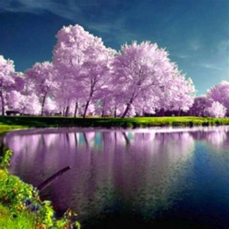 10 Top Spring Nature Wallpaper Desktop FULL HD 1920×1080 For PC ...