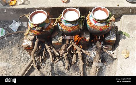 pongal festival 2023 Stock Photo - Alamy