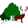 New Forest Wildlife – Medium