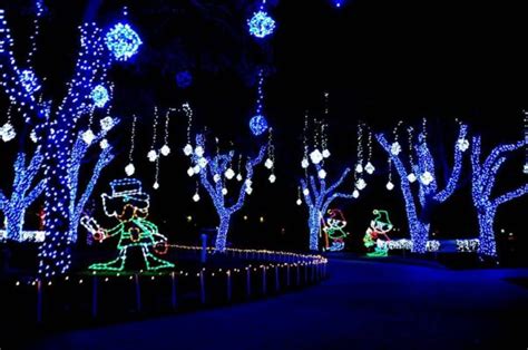 The Moody Gardens Festival Of Lights | Buzz Vacation Rentals