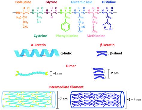 Keratin Structure