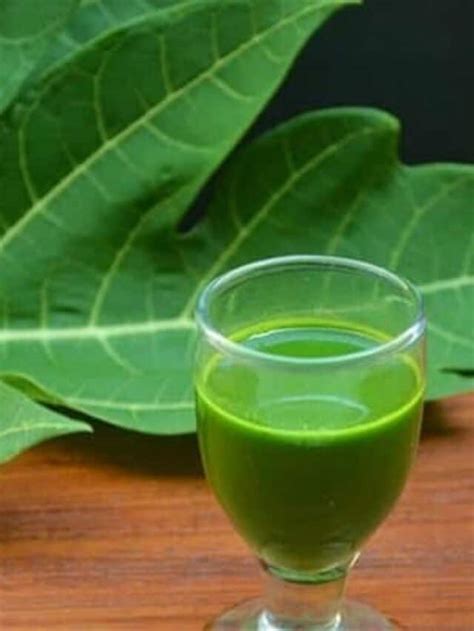 5 Reasons Why You Should Consume Papaya Leaf Juice