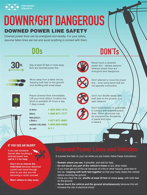 Downed Power Line Safety | Hawaiian Electric