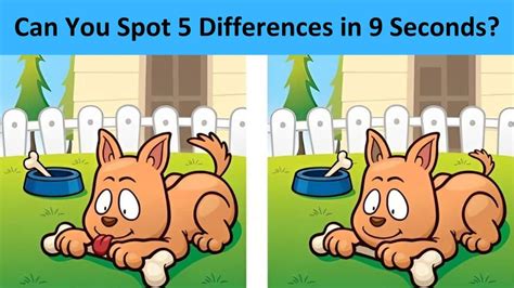 Spot the Difference: Only the most attentive eyes can spot 5 differences between the two dog ...