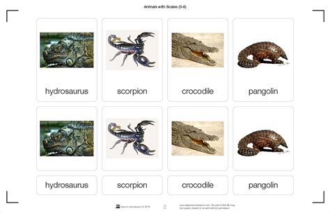 Montessori Materials: Animals with Scales