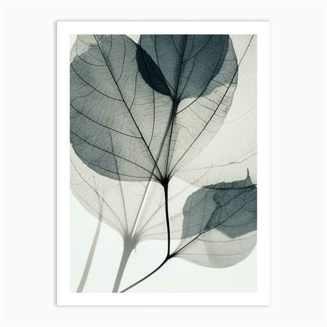 Leaf That Has Shadow It Art Print by Artsy Bessy - Fy