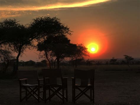 Kenya safari, Kenya safaris, Kenya wildlife safaris, Kenya adventurous safaris News