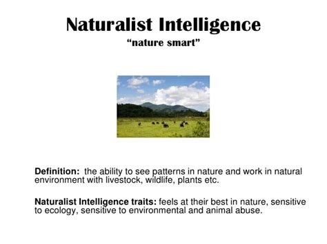 Naturalistic Intelligence | Playvolution HQ