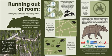 Closing roads counters effects of habitat loss for grizzly bears