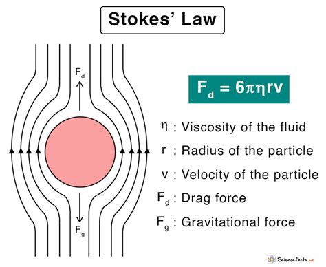 Stokes’ Law: Statement, Formula, Assumptions & Limitations