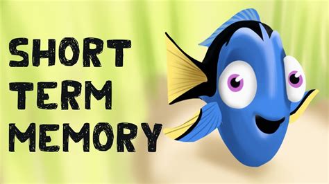 Short Term Memory Test Pictures / Free Memory Test 5 Mins Short Term ...