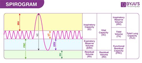 Spirogram Diagram