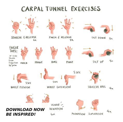 Carpal Tunnel Exercises Print Physical White Hand and Wrist Exercises ...