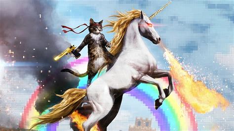 HD wallpaper: white unicorn illustration, cat, gun, rainbow, Kote ...