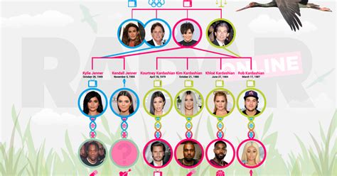 Keep Up! It's The Complete Kardashian Family Tree & Pregnancy Timeline