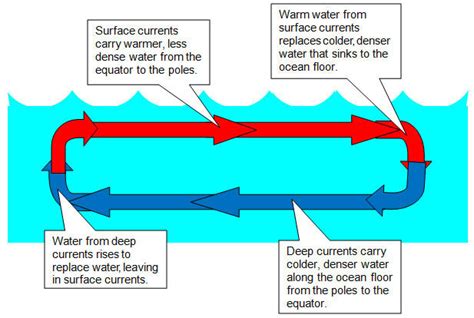 Surface Currents - Oceanography All Abouts