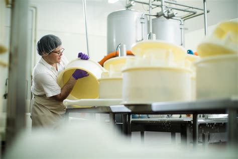 Cheesemaking Process — Spring Brook Farm