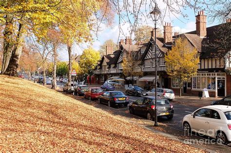 Bournville Village Gold 1 Photograph by John Chatterley - Fine Art America