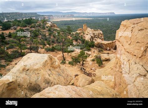 El Malpais National Monument in western New Mexico Stock Photo - Alamy