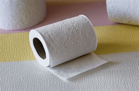 How to make your own toilet paper on BakeSpace.com