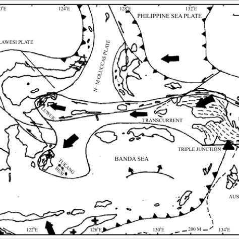 (PDF) Indonesian Landforms and Plate Tectonics