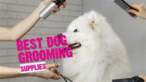 Best Dog Grooming Supplies