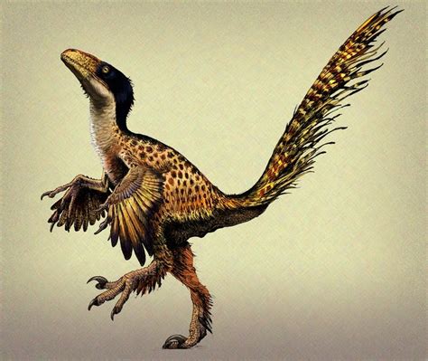 Feathered dinosaurs are very underrated in the mainstream. They're, not only…