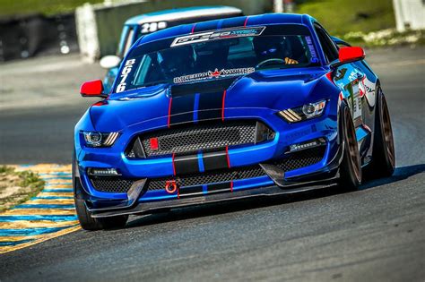 Ford Mustang Shelby GT350R vs GT500 on the Track Reviews