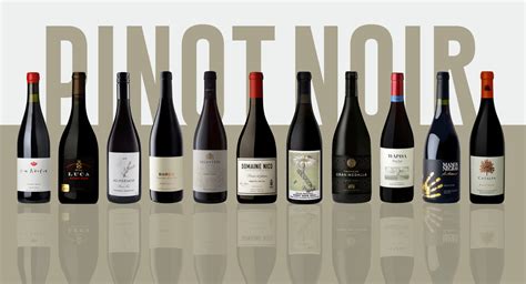 Great Value Wines: Argentine pinot noir under $40 - JamesSuckling.com | JamesSuckling.com