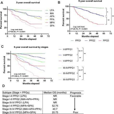 Stage-dependent prognosis was altered by pathological characteristics ...