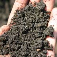 Different Types of Topsoil | Information on Topsoil Types