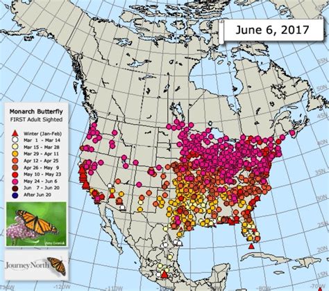Current Monarch Butterfly Migration Map