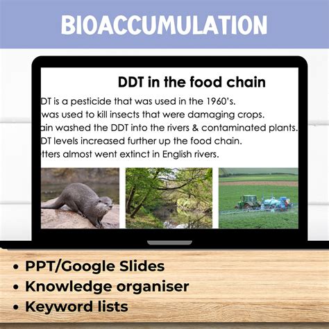 Bioaccumulation in Food Chains Lesson | Teaching Resources