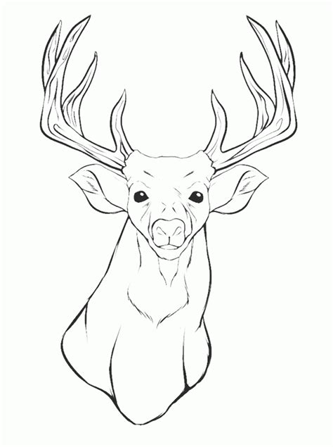 Elk Head Drawing at GetDrawings | Free download