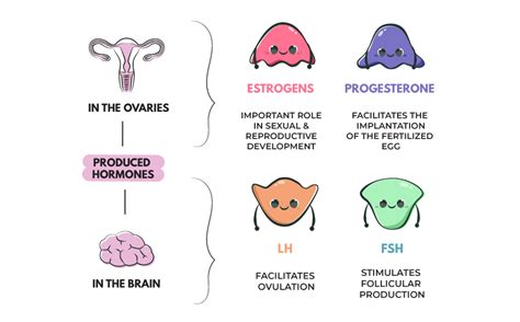 FAQS About Female Hormones - Julian Assange Coloring Book