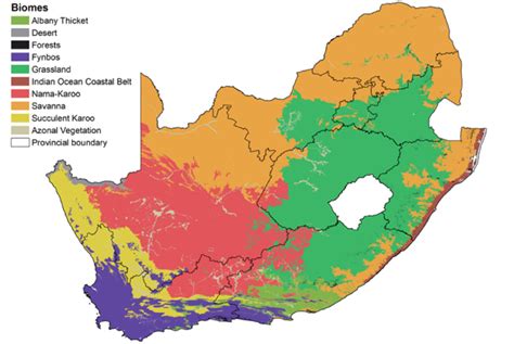 Terrestrial biomes of South Africa. | Download Scientific Diagram